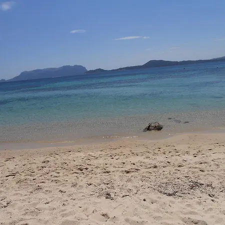 Bufetta Olbia